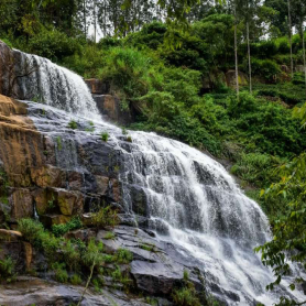 Cozy Homestay Resorts Near me Kotagiri